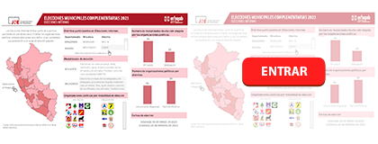 ELECCIONES INTERNAS