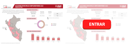 ANÁLISIS DEL PADRÓN ELECTORAL