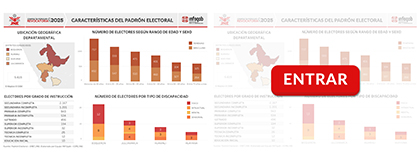 CARACTERÍSTICAS DEL PADRÓN ELECTORAL