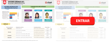 CONGRESISTAS ELECTAS