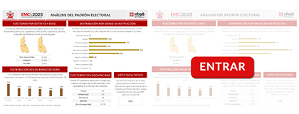 ANÁLISIS DEL PADRON ELECTORAL