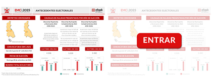 ANTECEDENTES ELECTORALES