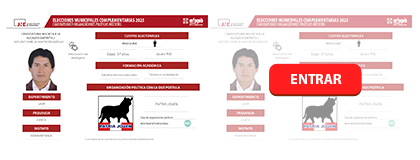 CANDIDATURAS Y ORGANIZACIONES POLÍTICAS